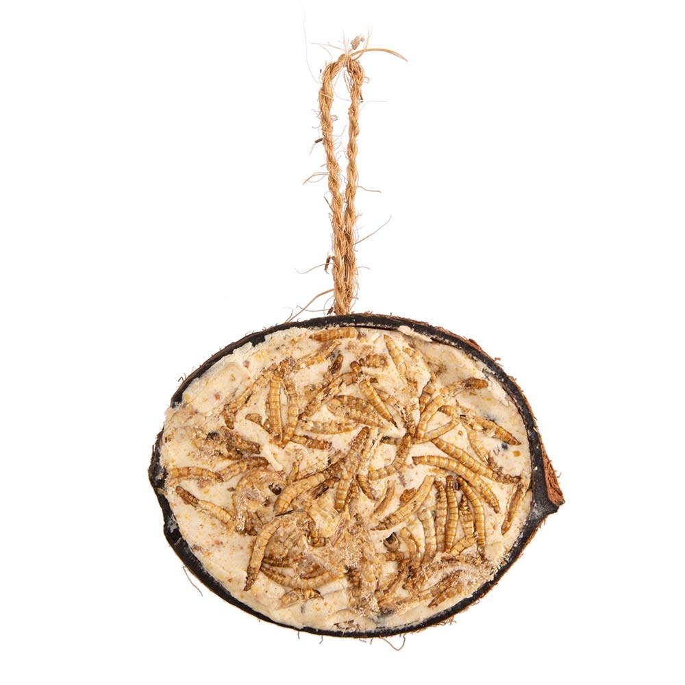 01_10 ° Half gevulde kokosnoot 104994827_1_1_